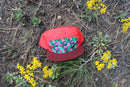 Indian Paintbrush Red 5-Panel Hat