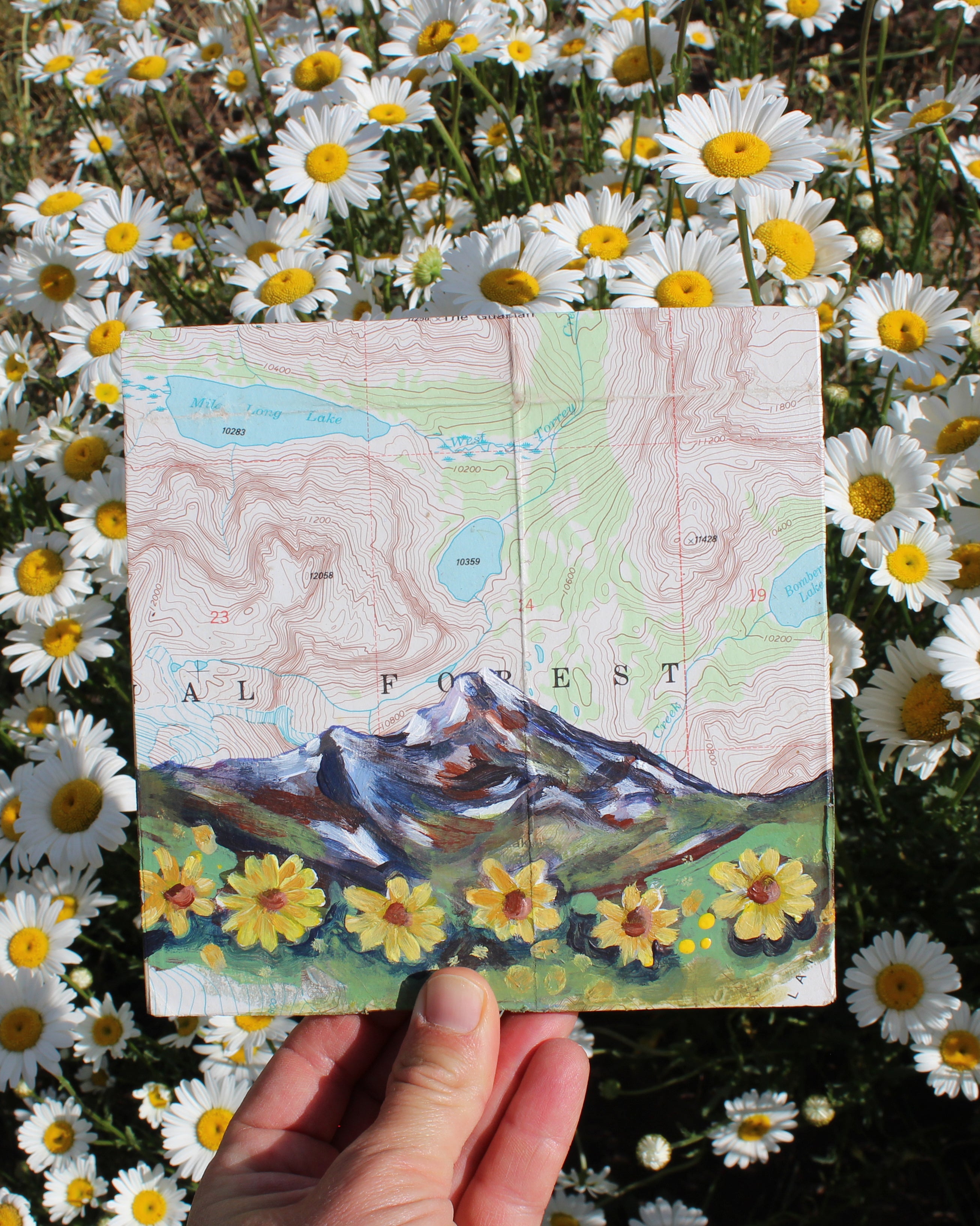 Balsam Root and Mountains Mini Map Art