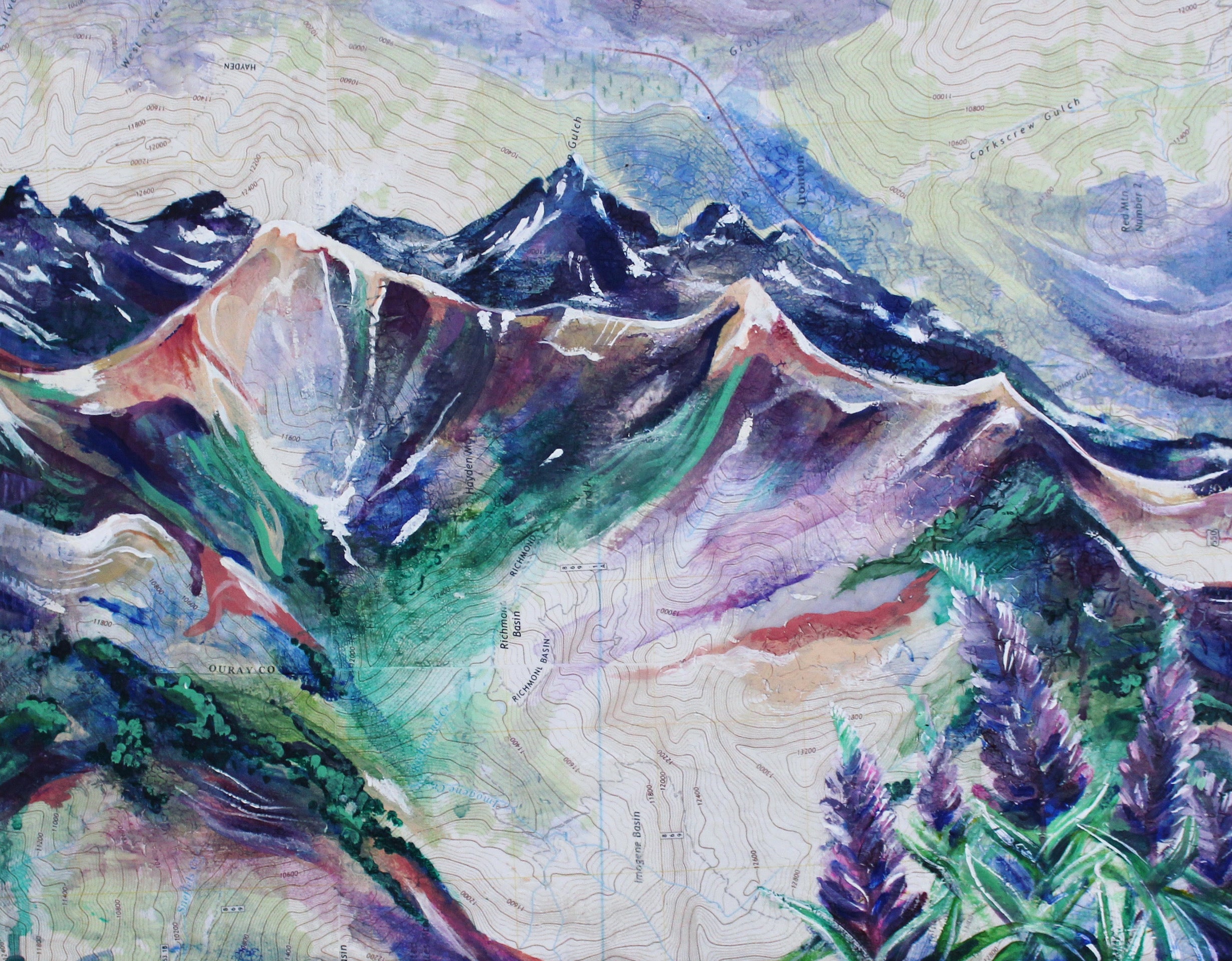 Colorful mountain landscape with peaks and purple fowers