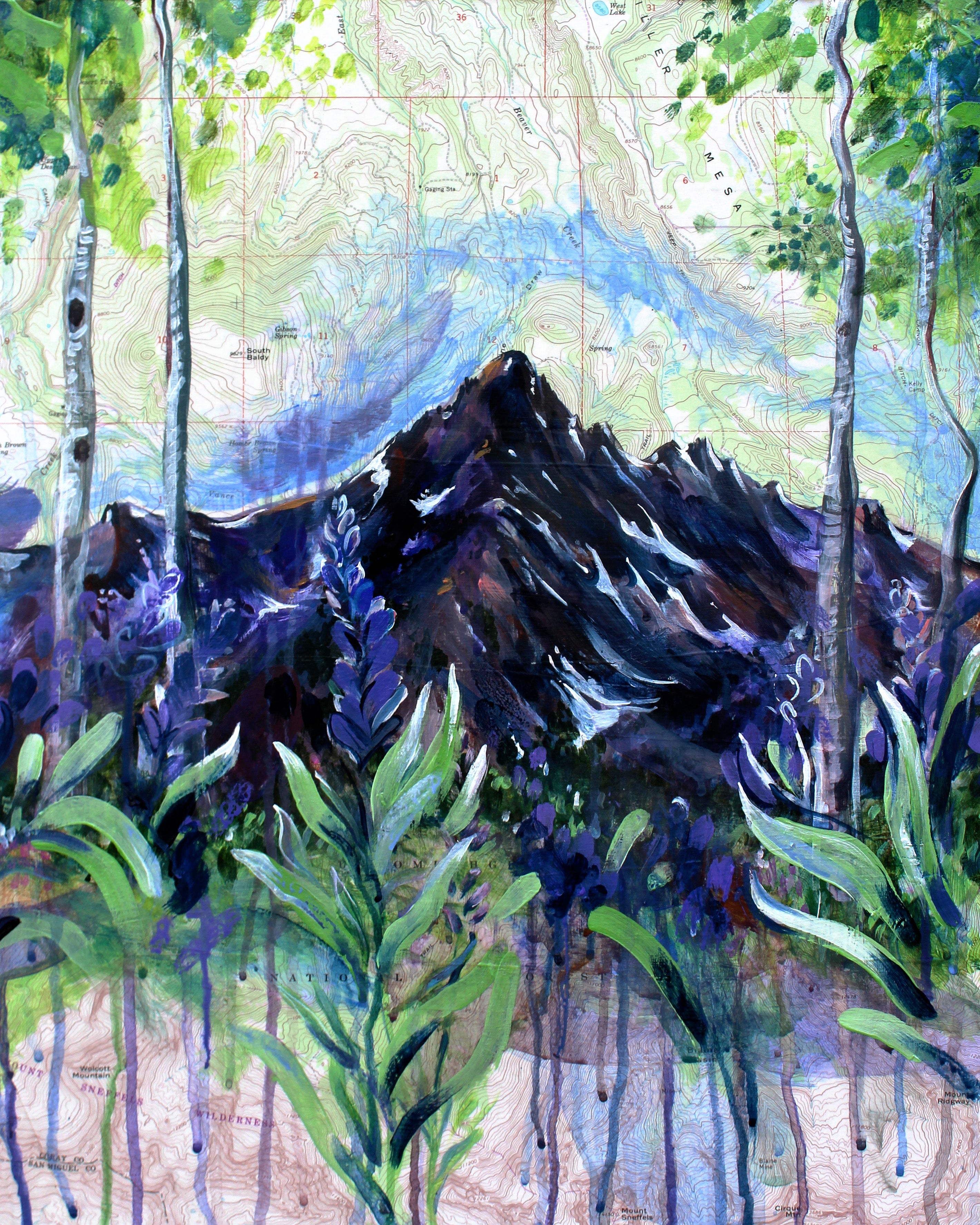 A colorful painting of a large colorado mountain framed by wildflowers and aspens.