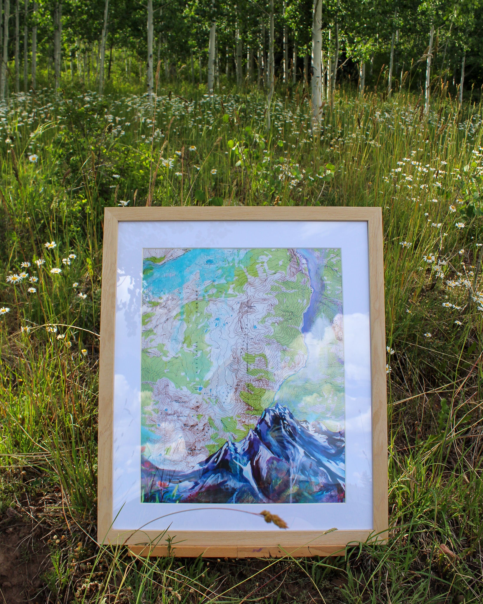 Framed artwork of a mountain scene in a natural setting with grass and flowers.